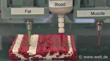 Dieses Steak aus dem Drucker ist das nächste Level der Fleischlos-Ära