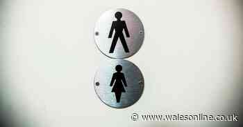 Rules on toilets in pubs and restaurants when they open outdoors in Wales