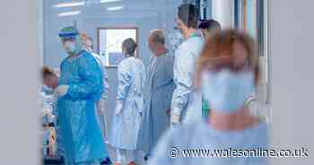 Eight more people die after testing positive for coronavirus in Wales as positive cases rise by 41 - Wales Online