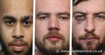 Thugs carried out brutal 'punishment beating' with hammer and knife - Wales Online