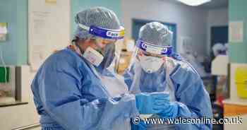 One of the worst-hit hospitals in Wales has no positive coronavirus cases for the first time in five months - Wales Online