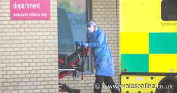 Three more people die with coronavirus in Wales as cases rise by just 26 - Wales Online