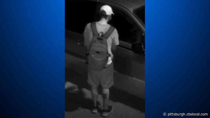 Mt. Lebanon Police Seek Public’s Help Identifying And Locating Car Thief Suspect