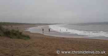 Toddler and mum almost swept out to sea by freak wave at Seaton Sluice