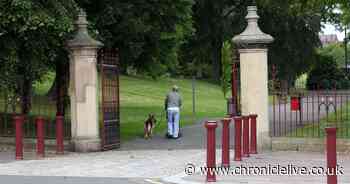 Appeal after 12-year-old pushed off his bike and robbed in park