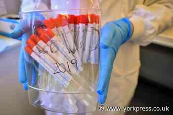 New Pillar 1 and 2 Covid figures for York show drop in rate of fresh cases