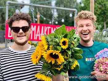 Bredanaars redden Vierdaagse-gladiolen van de shredder