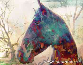 Calaveras Arts Council Hosting First Online Gallery Show - Oakdale Leader