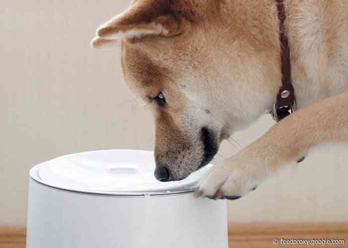 Alvinoo smart water fountain for pets from $85
