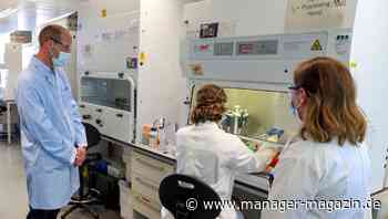 Coronavirus: 17 Kandidaten für Impfstoffe in klinischen Tests