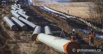 Kenney celebrates Trans Mountain court decision as ‘critical victory’ for Alberta, Canada