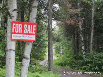 Realtors hoping for bounce back following big drop in sales