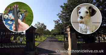 Callous thieves target baby and grandad's grave in Sunderland cemetery