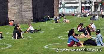Busy Cardiff road being turned into covered area selling food