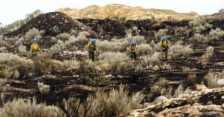 Winds keep fanning pesky Millard County fire as it grows to 70,000 acres