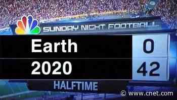 Memes toss first half of 2020 into the blazing dumpster where it belongs     - CNET