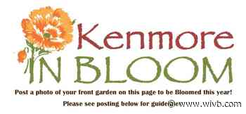 Kenmore in Bloom going virtual this year