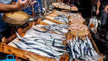 Perché il mercato del pesce di Catania è uno dei luoghi più “cool” della Sicilia - SiViaggia