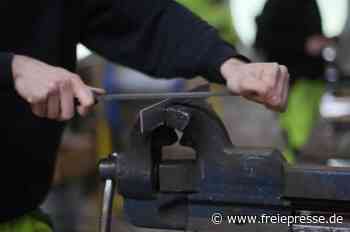 Firmen setzen trotz Krise auf Ausbildung - Freie Presse