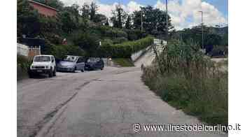 Seghetti: "Erba e sterpaglie" - il Resto del Carlino