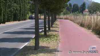 Erba alta in via del Maceratoio, torna il decoro lungo la ciclabile di San Paolo. Sanzò: “Intervenuti immediatamente” VIDEO - tvprato.it
