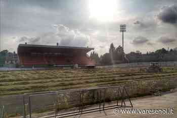 Al Franco Ossola falciano l'erba: sta tornando il Varese? Oggi i biancorossi possono essere in serie D - VareseNoi.it