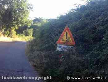 "Erba alta, buche e cunette stracolme in strada Signorelli" - Tuscia Web