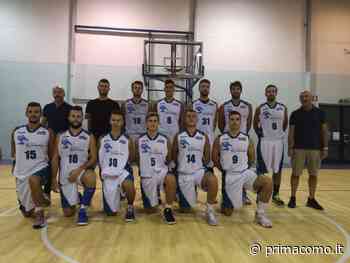 Basket lariano in C la migliore è Erba, in D Appiano tra le grandi - Prima Como