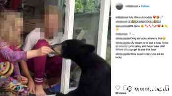 Video of family feeding bears through patio door leads to charges for West Vancouver man
