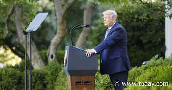 Trump says he thinks coronavirus will 'just disappear' despite rising cases