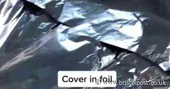 Mum reveals oven cleaning hack with no scrubbing involved