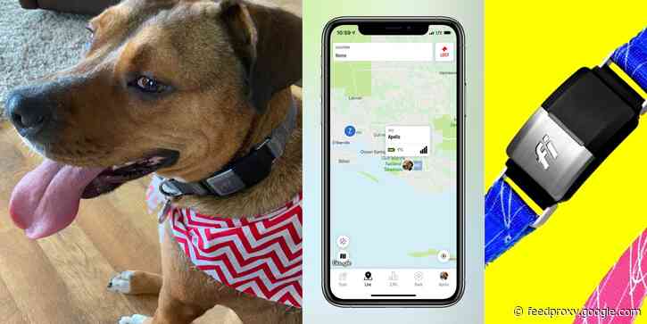 Review: Fi Smart Collar uses GPS and LTE to track your dog’s location on your iPhone