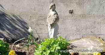 Thieves steal statue honouring dozens of people buried in unmarked graves
