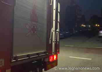 Calabroni in viale Gorizia a Legnano, intervengono i Vigili del Fuoco - LegnanoNews