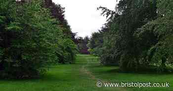 Almost 8 tonnes of rubbish left on the Downs in just 10 days