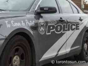 Toronto cops allege driver found asleep, hit police vehicles, fled - Toronto Sun
