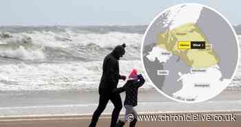 North East to be hit by strong winds as Met Office issues yellow weather warning