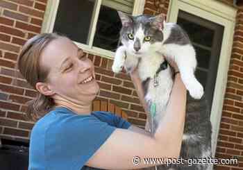 Pet Tales: If cats could vote, veterinary nurse would win hero contest