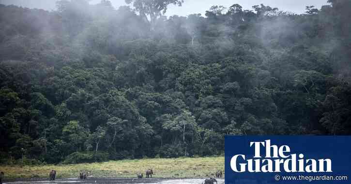 Dry tropical forests may be more at risk than wet rainforests, study says