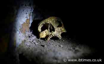 Private Facebook groups illegally selling human remains and macabre curios