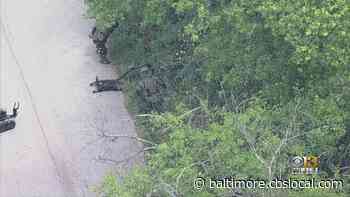 Suspicious Packages In Baltimore County Deemed Not Dangerous - CBS Baltimore