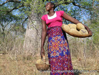 Zimbabwe-based entrepreneur wants to create a global market for baobab products - How we made it in Africa