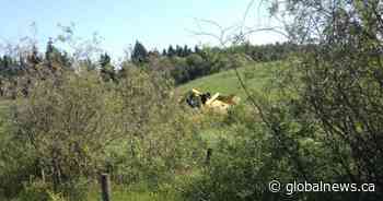 3 dead after small plane crashes southeast of Edmonton: fire official