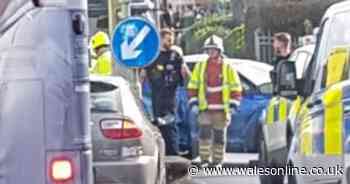 A biker pulling a wheelie on a busy road caused a crash