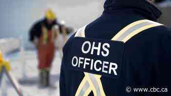 OHS investigates after woman, 23, dies tree planting in northern Alberta