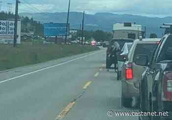 Collision between Enderby & Armstrong on Hwy 97A slows traffic - Vernon News - Castanet.net