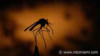 Miami-Dade County Reports Four More Cases of West Nile Virus