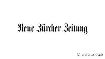 Vetterliwirtschaft: Mehr Kontrolle für die Zürcher Verwaltung - Neue Zürcher Zeitung