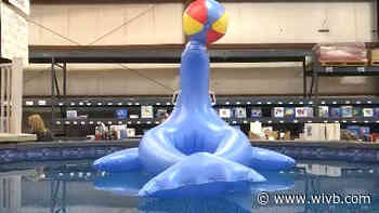 Business is booming at local pool store as pools, hot tubs and outdoor equipment is in high demand