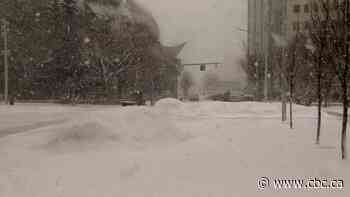 New parking ban, more attention to residential roads proposed in city snow-clearing strategy